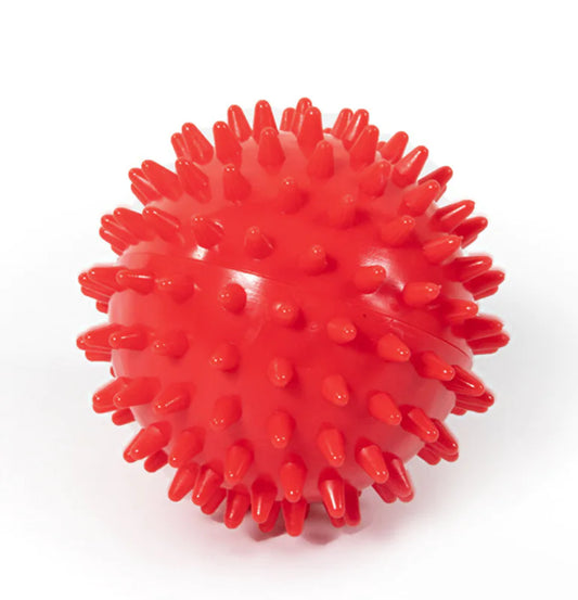 INTERACTIVE BOUNCY DOG BALL – FUN PLAY & GENTLE MASSAGE